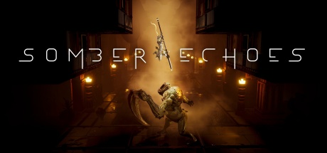 沉寂回响/Somber Echoes