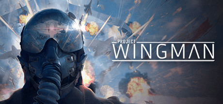 僚机计划/Project Wingman（更新：v2.1.0）